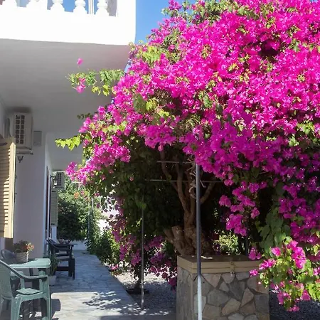 Flowers * Σκάλα